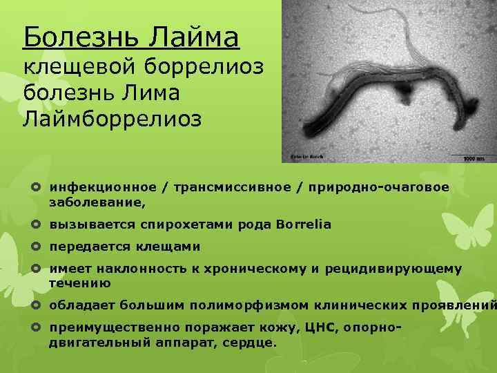 Бактериальные инфекции кожи