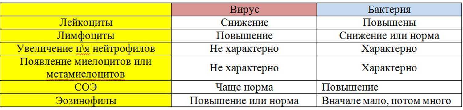 Кандидоз во рту у детей и взрослых: симптомы и лечение молочницы полости рта - стоматология блеск новосибирск