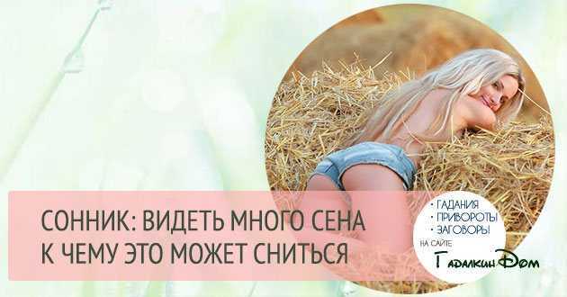 Сонник: к чему снится зеленая трава. значение и толкование сновидения :: syl.ru