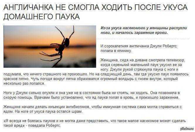 Во сне укусила крыса за ногу