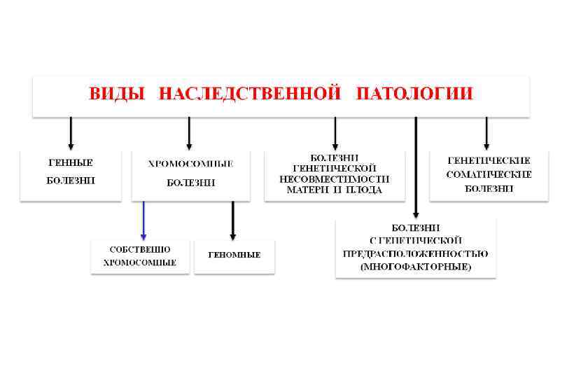 Ихтиозы и ихтиозоподобные заболевания - симптомы болезни, профилактика и лечение ихтиозов и ихтиозоподобных заболеваний, причины заболевания и его диагностика на eurolab