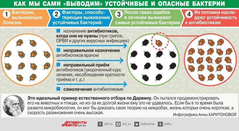 Почему антибиотики не помогают? супербактерии несут новую опасность