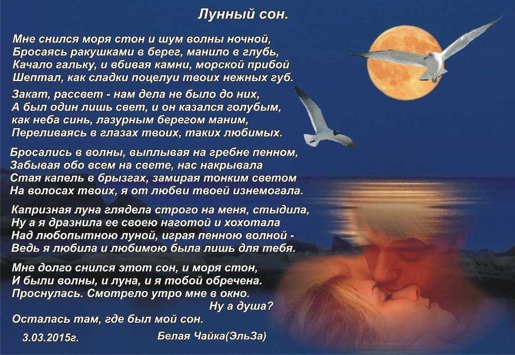 К чему снятся  фото, фотография во сне — по 90 сонникам! если видишь во сне фото, фотография что значит?