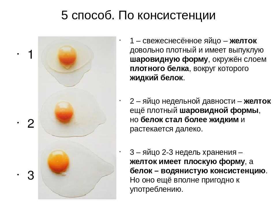 Почему куры несут яйца разного цвета?