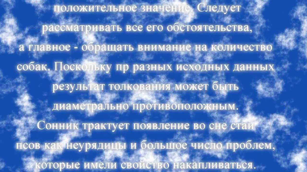 К чему снится большая собака: можно трактовать как благоприятный посыл - сонник собака большая