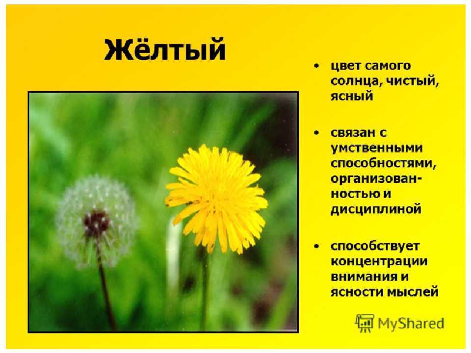 Психология цвета: фиолетовый, синий, зеленый, красный, желтый, оранжевый, черный, белый и другие цвета и их значение в психологии.