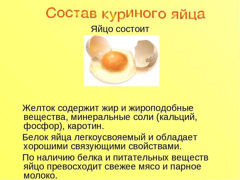 Какие яйца полезнее – белые или коричневые, и что лучше выбрать