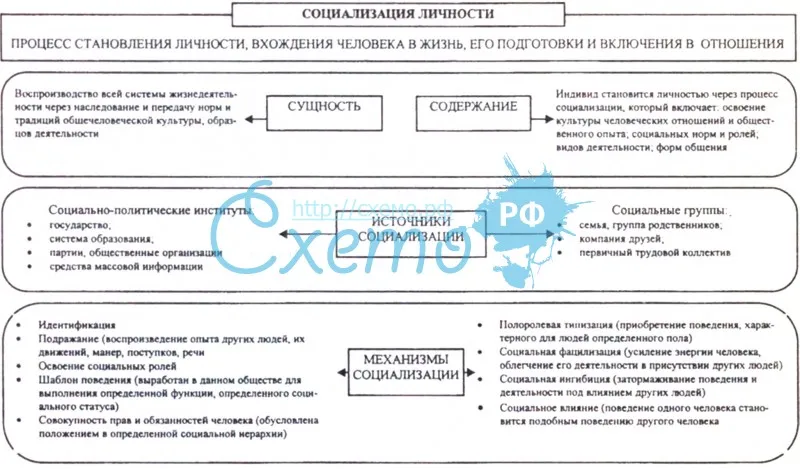 Стадии социализация личности