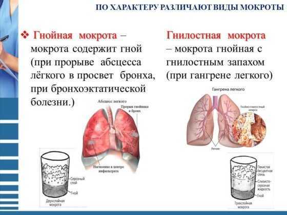 Подготовка к посещению проктолога