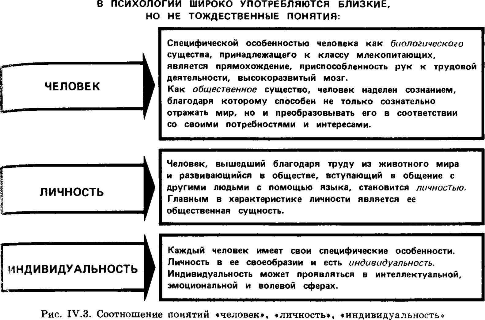 Чем отличается личность от индивидуальности?