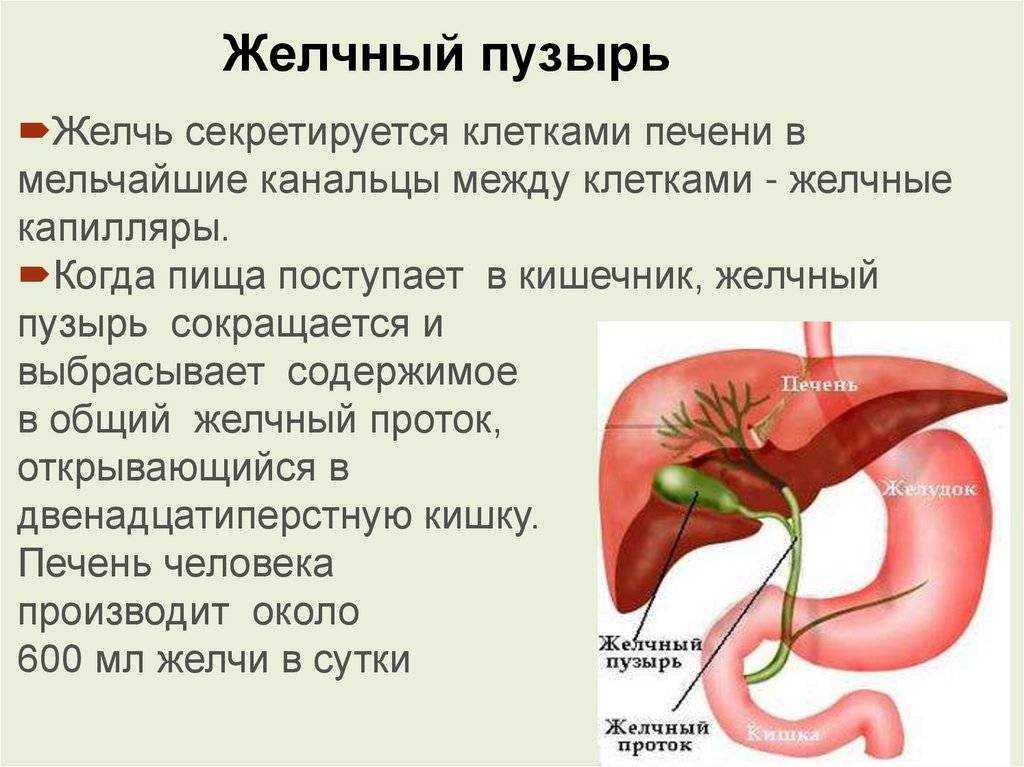 Образ жизни после удаления желчного пузыря