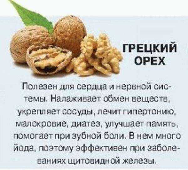 Грецкий орех