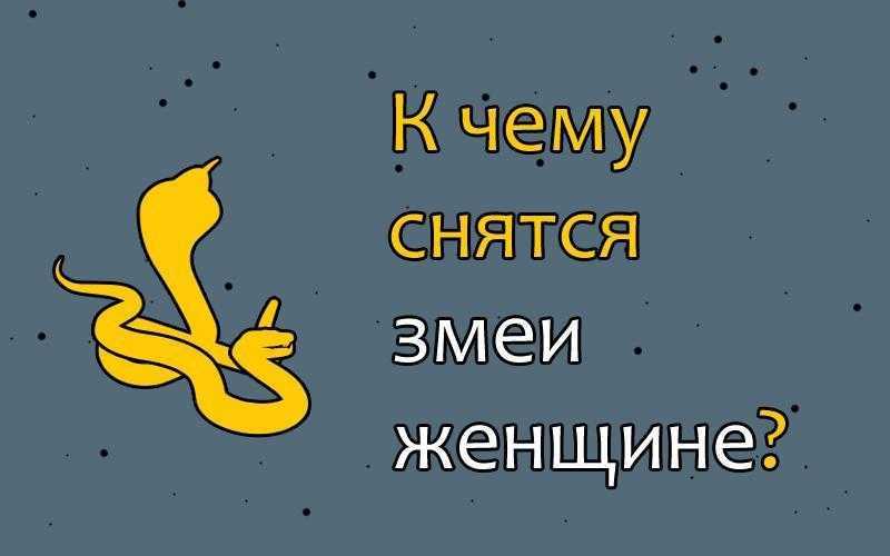 Приснилась змея мужчине, к чему снятся змеи мужчине, узнать значение сна – сонник (ползают под ногами, нападают, одна или много )