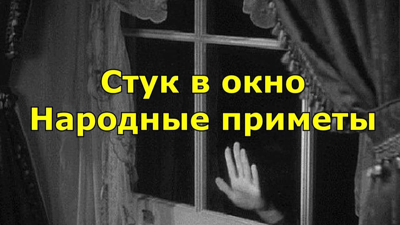 К чему снится испугаться человека или животного — 50 толкований из разных сонников