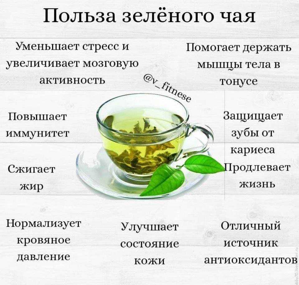 Травяной чай: рецепты, польза и вред, разновидности на каждый день