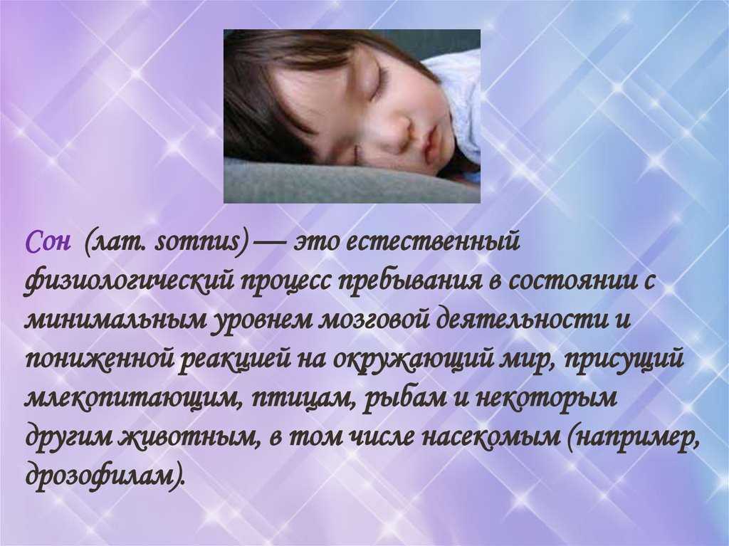 К чему снятся гниды и вши — толкование сна по сонникам миллера, ванги, исламскому