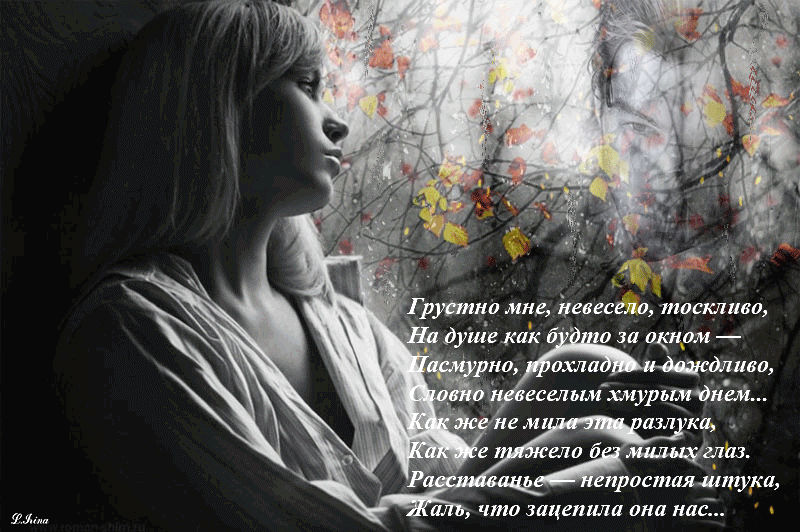 К чему снится цветы?