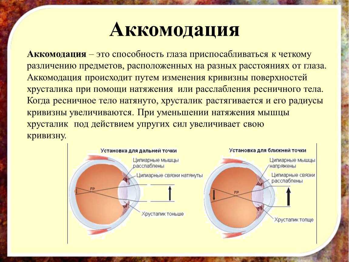 Как помочь глазам справиться с нагрузками