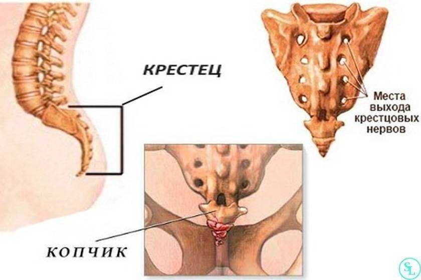 Почему болит спина