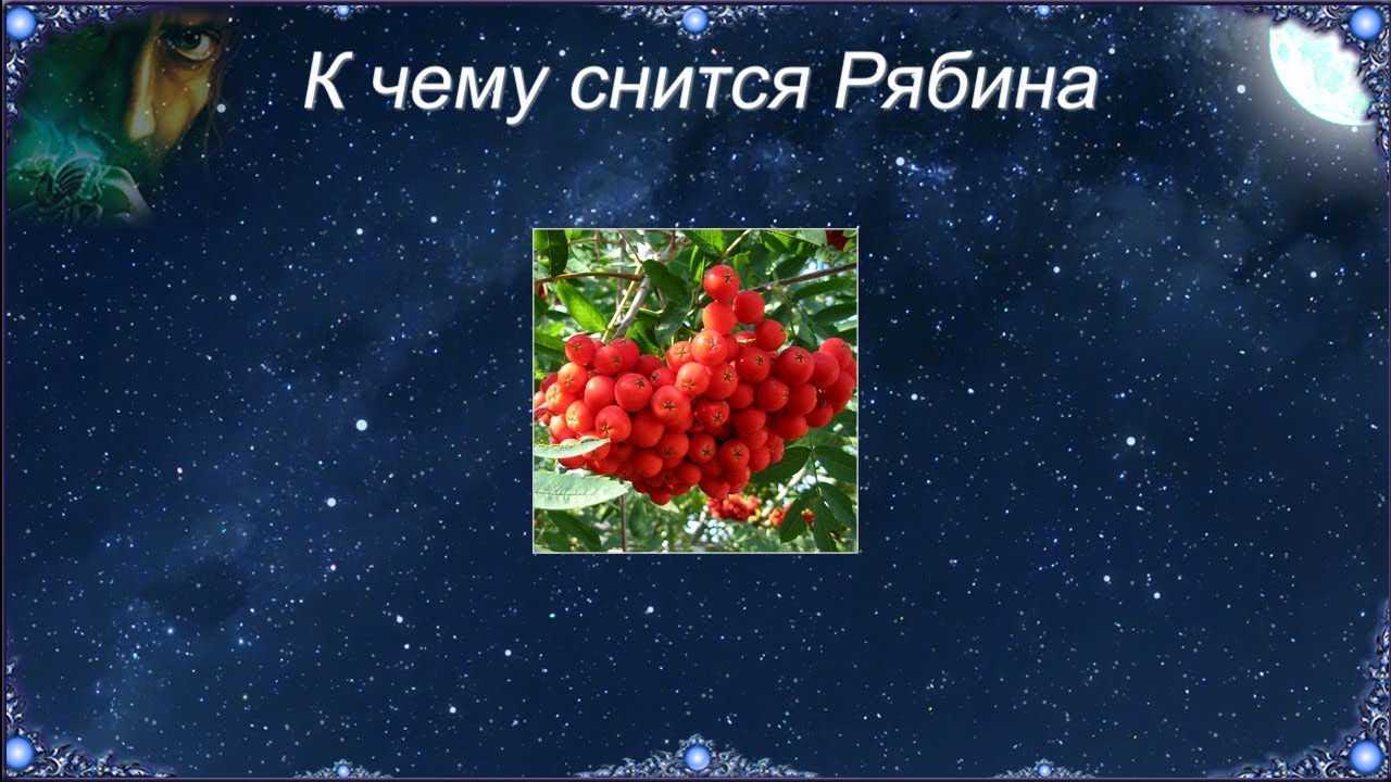 К чему снится рябина Во сне это символ одиночества, серьезных перемен и жизненных испытаний Популярные сонники дадут образу полную характеристику на примерах