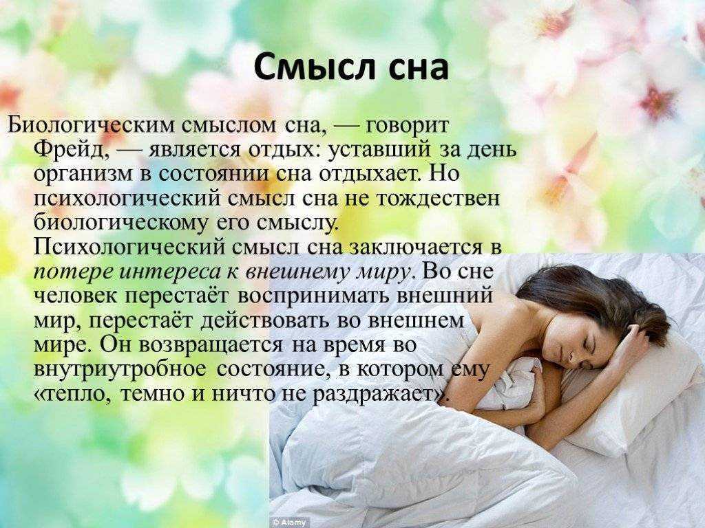 К чему снится школа во сне