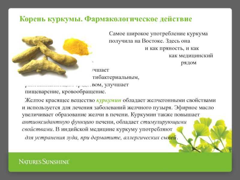 Почему нужно регулярно есть куркуму?