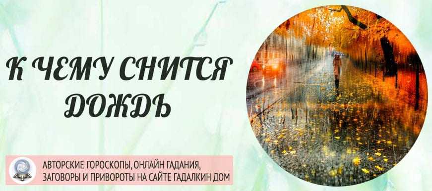 Прогулка во сне, к чему снится, толкования сна в разных сонниках