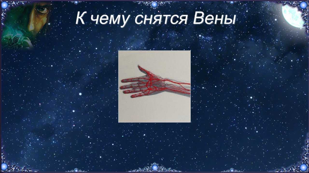 Лев нападает по соннику - трактование для девушки