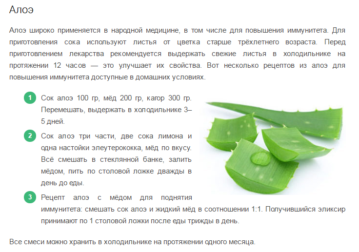 Настойка из алоэ, меда и кагора: рецепты, применение и противопоказания целебного настоя