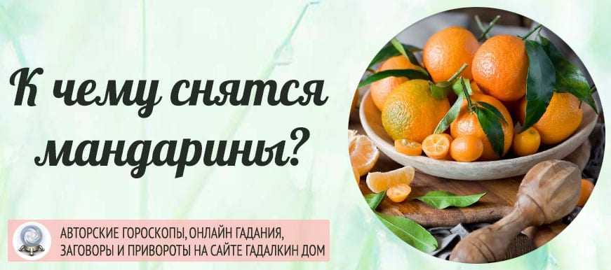 Сновидения про застолье со знакомыми и незнакомыми людьми, где проходило, чему было посвящено