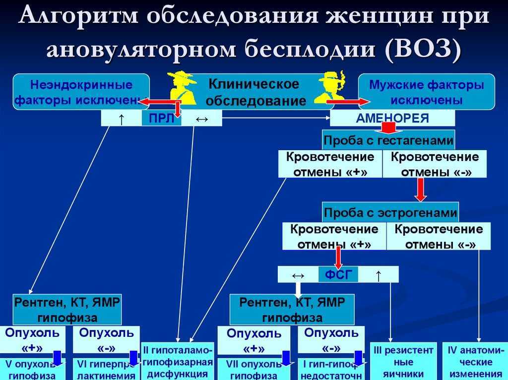 Профессия репродуктолог — что лечит, чем занимается, обязанности, требования, зарплата, как стать репродуктологом