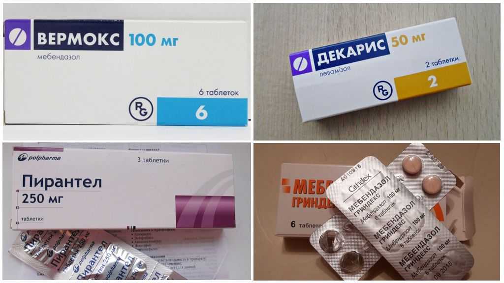 ? как избавиться от глистов? ~?глистная инвазия?