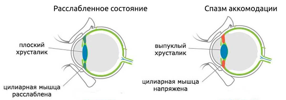 Популярные техники массажа для здоровья глаз