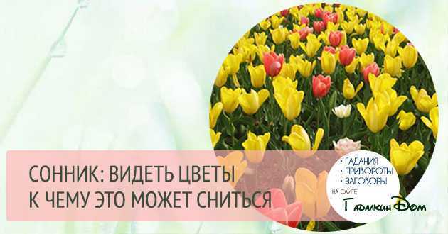 К чему снится  букет во сне — по 90 сонникам! если видишь во сне букет что значит?