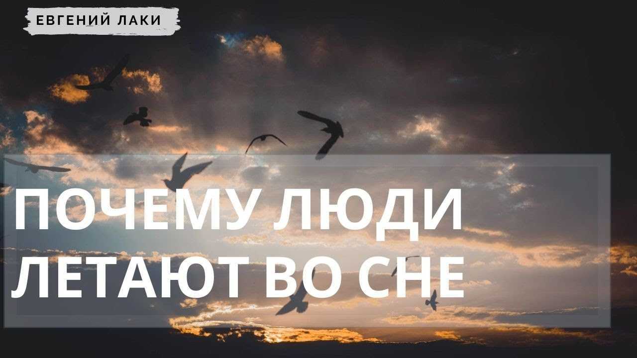 Сонник летать к чему снится летать во сне что значит