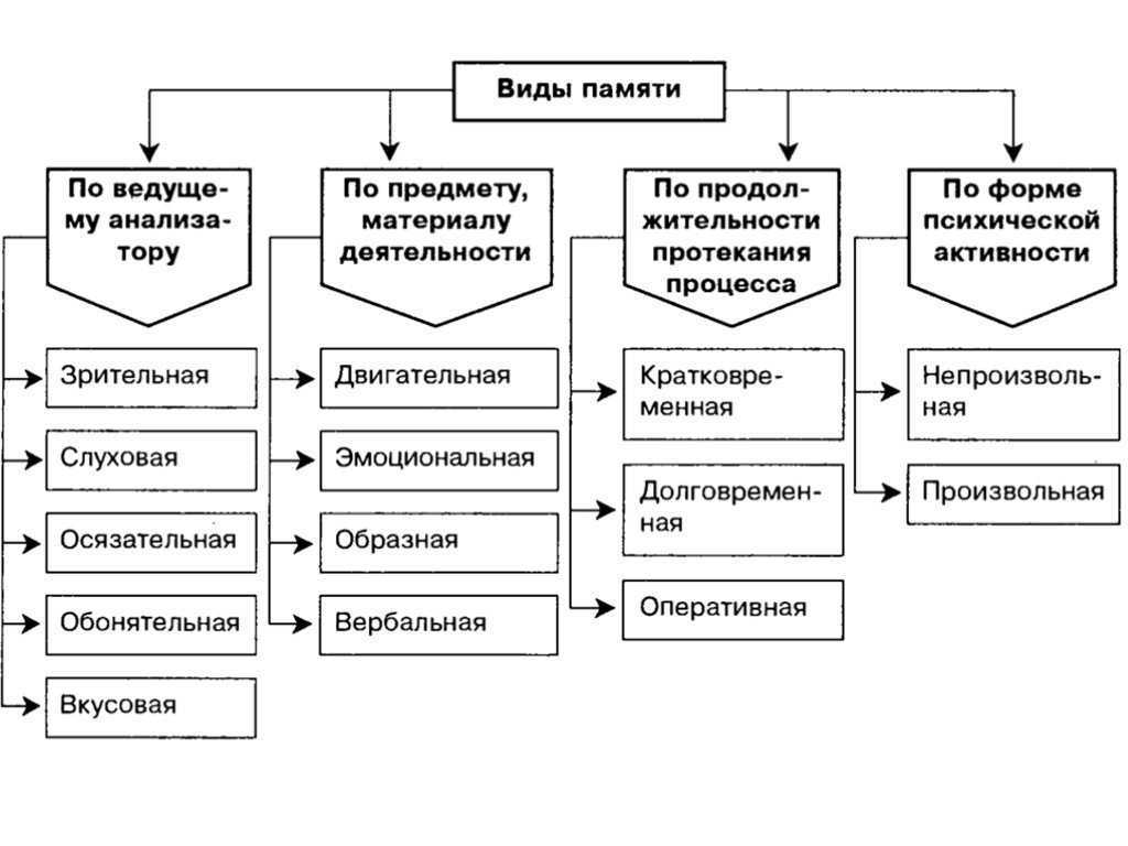 Память в психологии: виды, процессы, свойства и функции