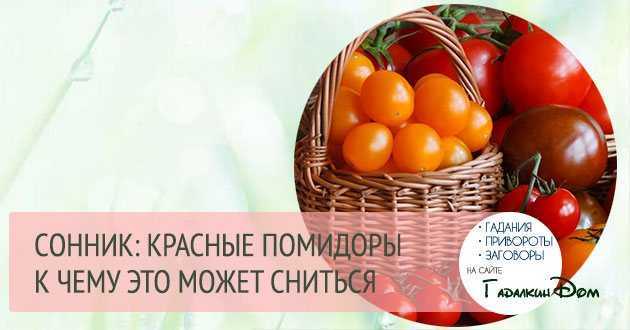 К чему снятся помидоры. сонник про красные помидоры у женщин