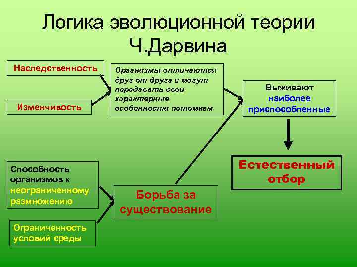Привязанность: как укрепить связь с ребенком