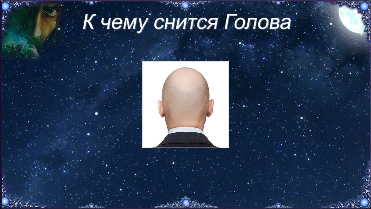 Приснились гниды: особенности и значения — как толковать. к чему снятся вши по соннику