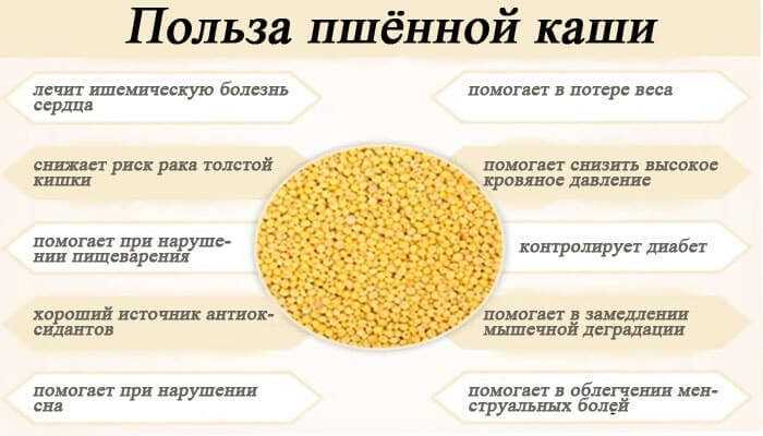 Роль витаминов в организме, польза, лучшие источники витаминов