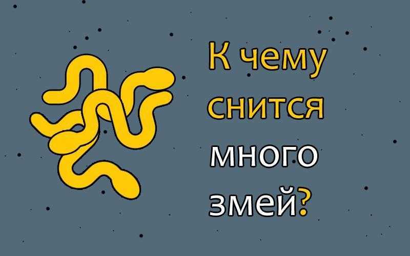 К чему снятся змеи мужчине?