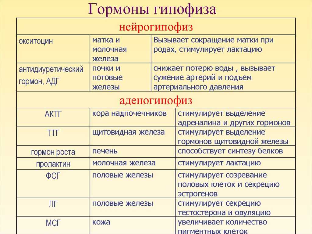 Гормональные механизмы старения: влияние гормонов на функционирование организма