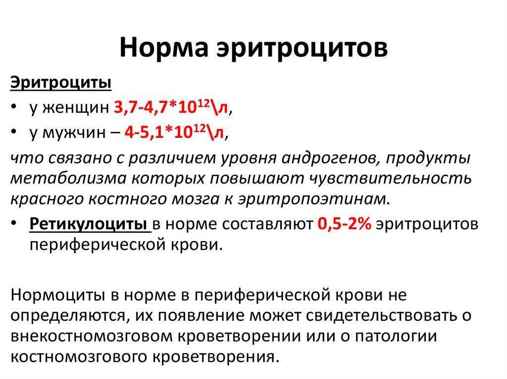 Эритремия: лечение и диагностика хронической и острой стадии, прогноз | клиники «евроонко»