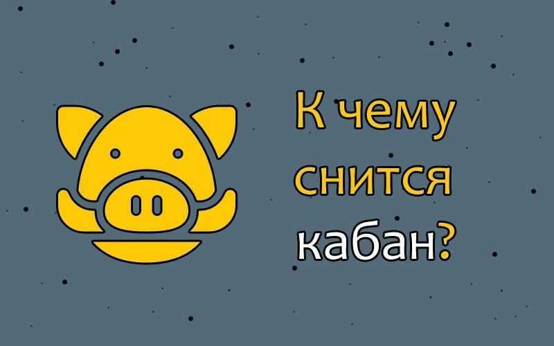 Сны о кабанах: к чему снится кабан, толкование из разных сонников