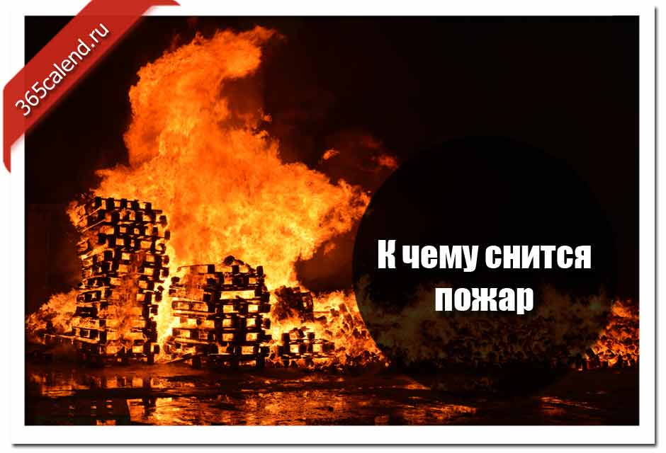 К чему снится говно - самое полное толкование сна