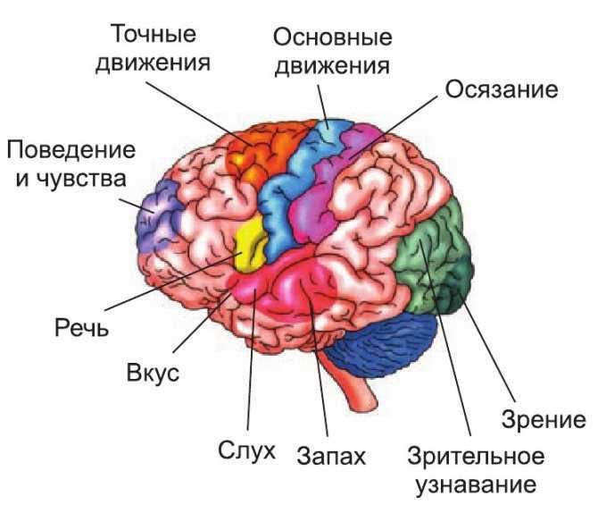 Поражение мозга
