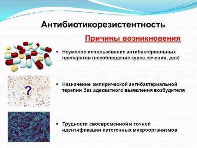 Бактериофаги плюс антибиотики: убойная комбинация против бактерий :: polismed.com
