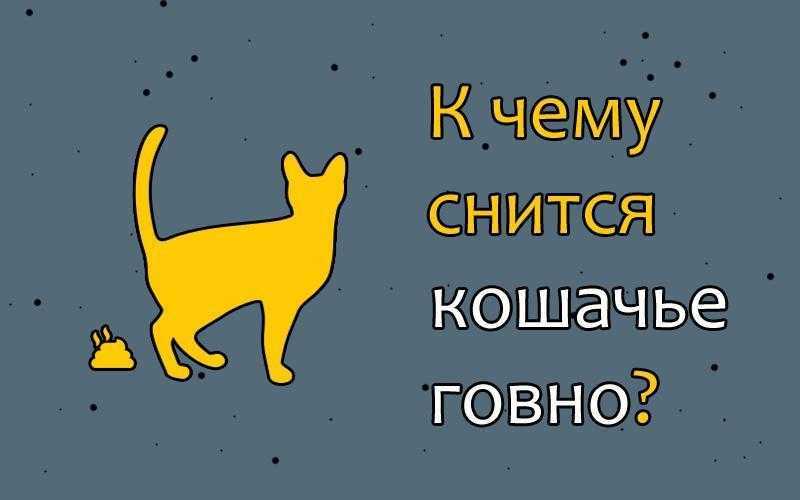 «туалет к чему снится во сне? если видишь во сне туалет, что значит?»