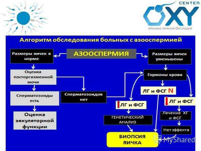 Уролог: что лечит у мужчин и женщин, как готовиться к консультации, как проходит осмотр