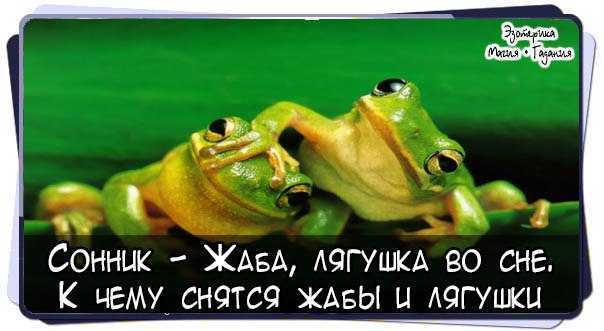К чему снится лягушка. видеть во сне лягушка - сонник дома солнца